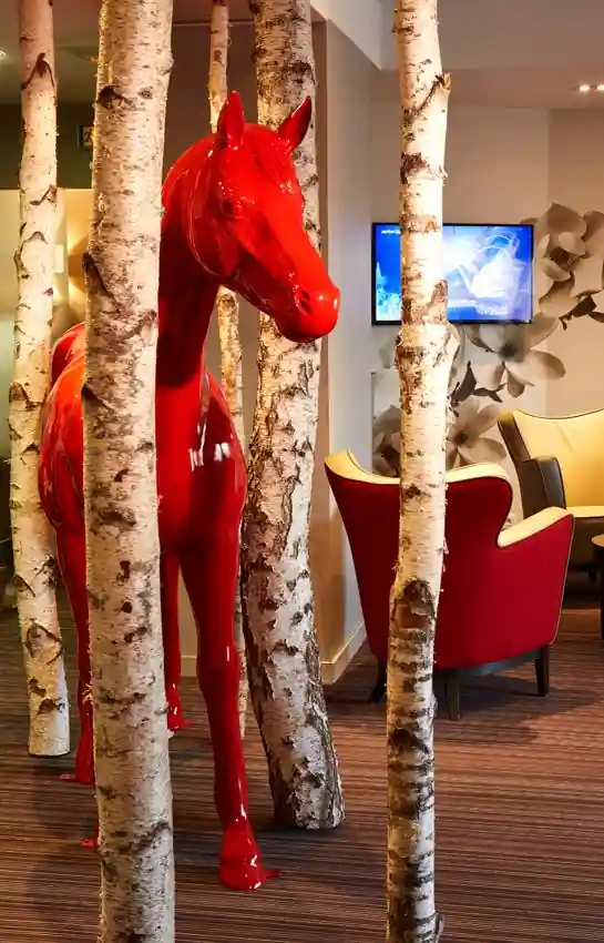 Image du projet