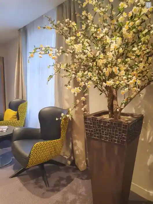Image du projet